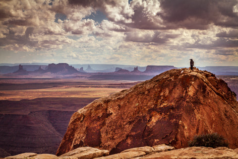 Muley Point Overlook