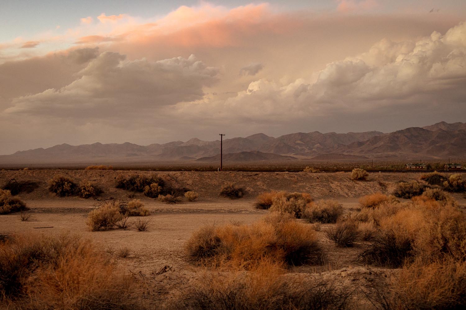 Desert Twilight