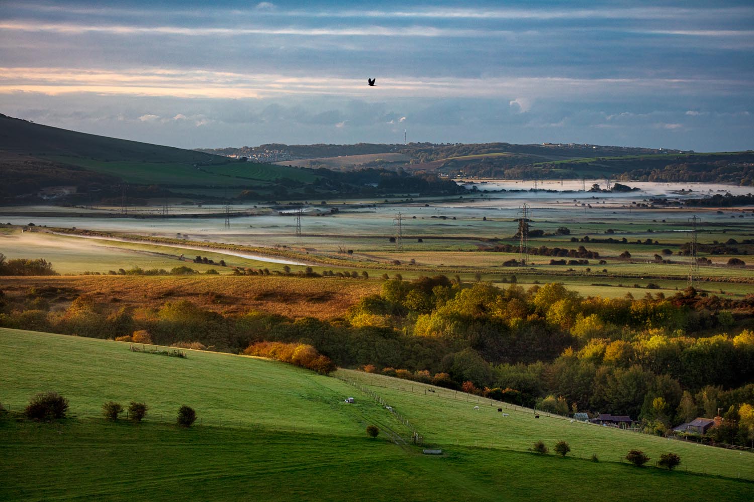 Misty Morning, Lewes Downs